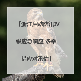 浙江启动防汛Ⅳ级应急响应 多举措应对汛情